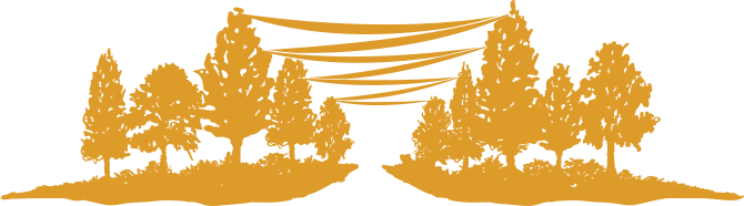 SlowDownToGoFast